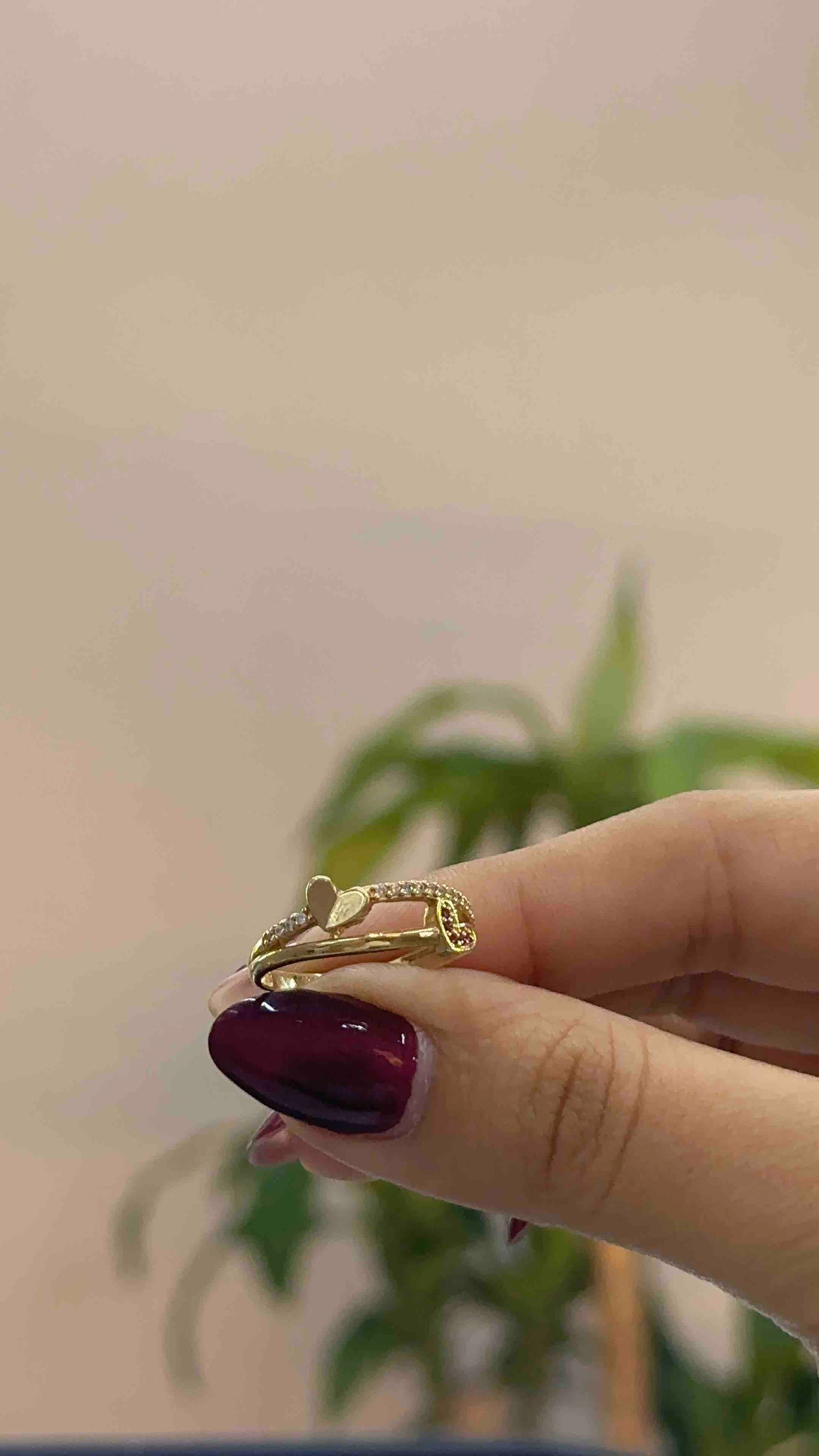 Anillo Doble Corazón